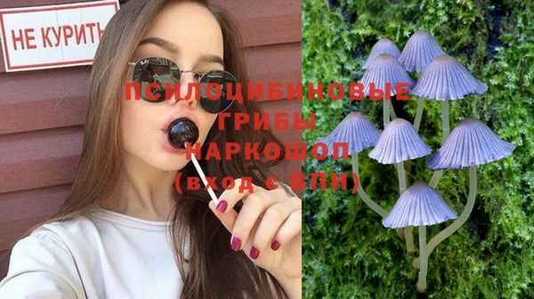 Альфа ПВП Лиски