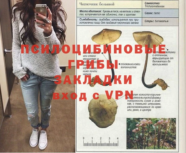 соль ск Лихославль
